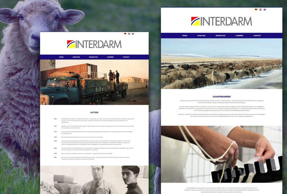 interdarm 2.0 mockup (1)-min